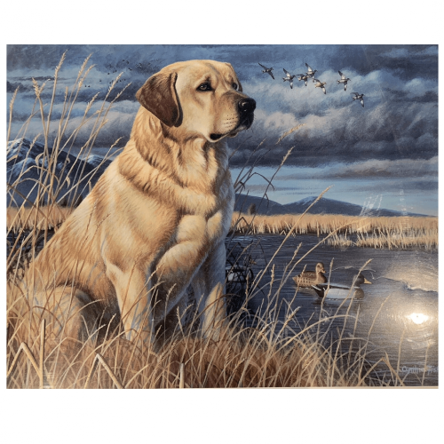 Bájos festés számok szerint - labrador